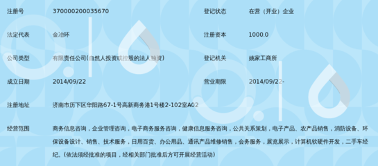 山东玖零零信息咨询服务